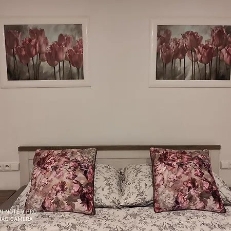 Lejlighed Apartman Ck